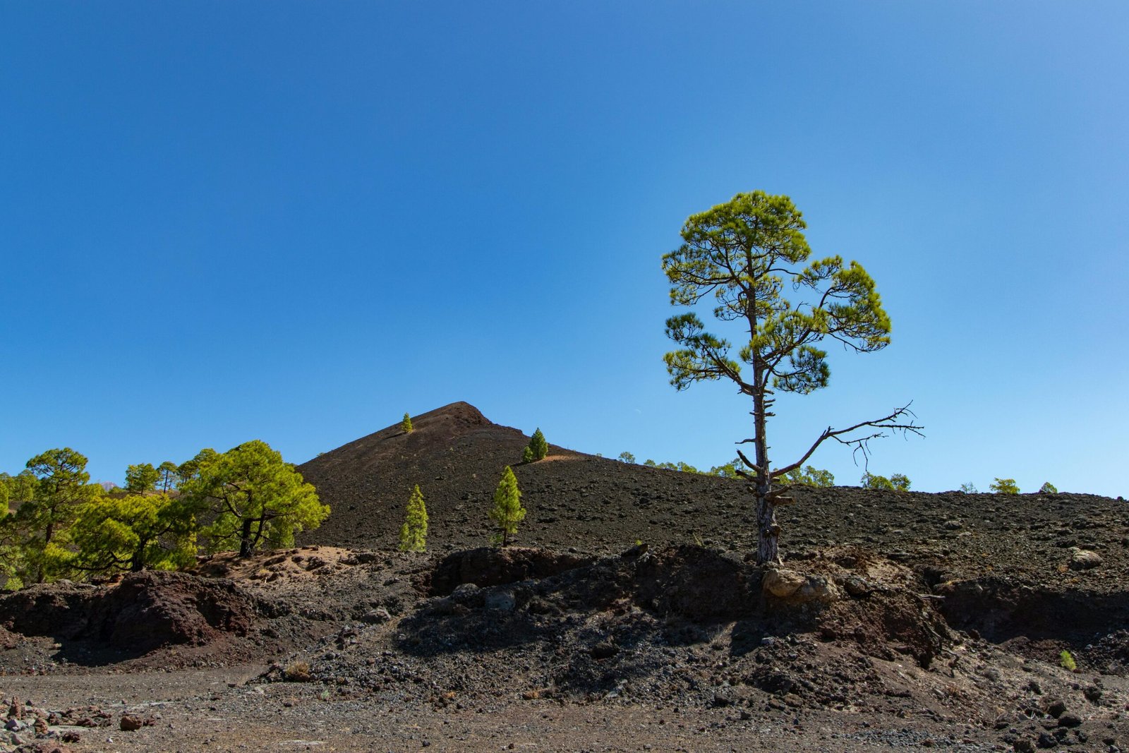 Ténérife : Explorez la Perle des Canaries