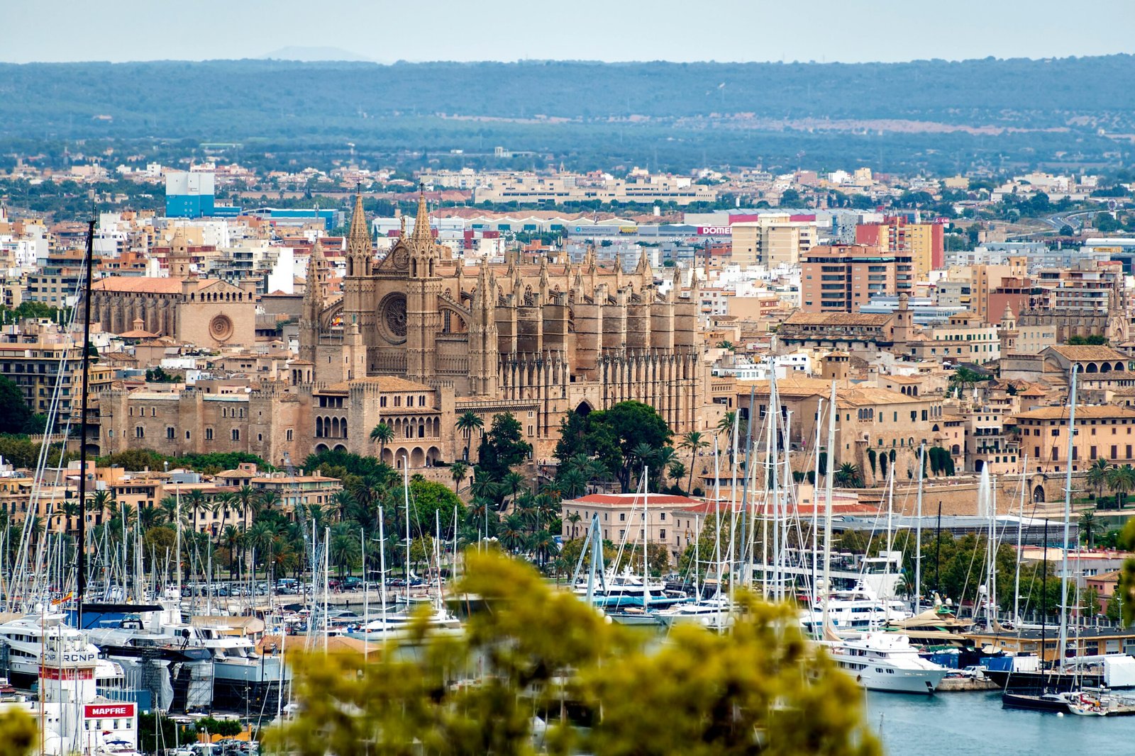 Palma : La Perle Méditerranéenne Qui Vous Attend